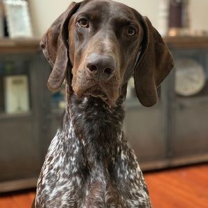 Meet your Posher, Robert